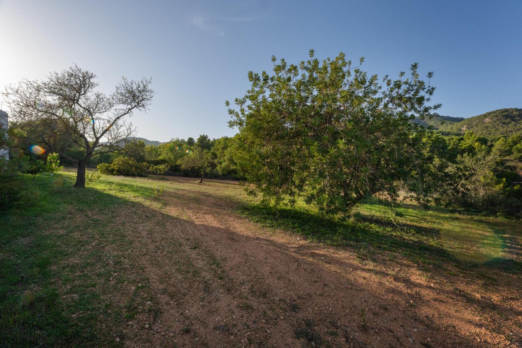 Villa Great Paradise Sant Josep de sa Talaia Exterior photo